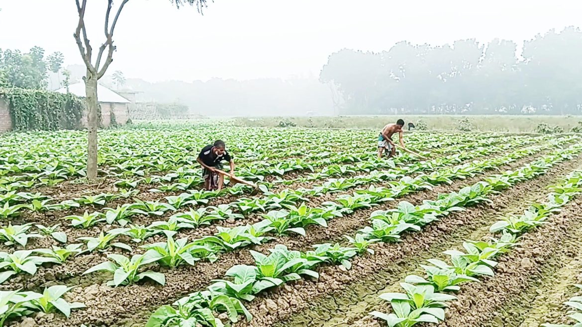 received_374118552224181