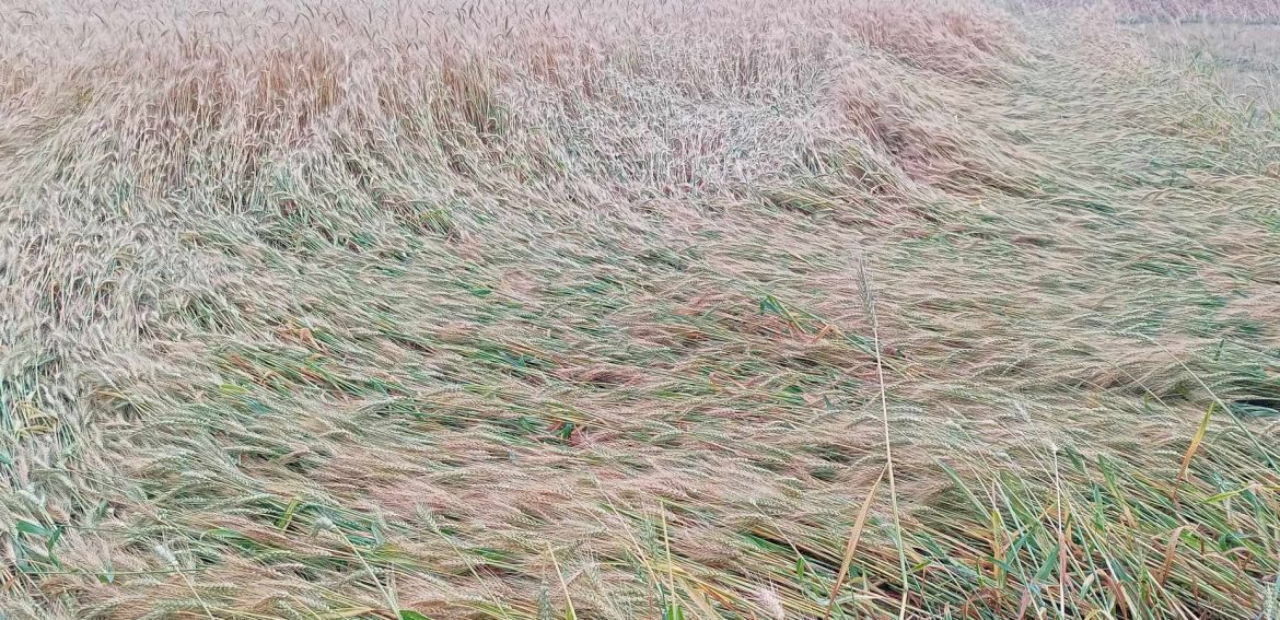 received_7058081794300712